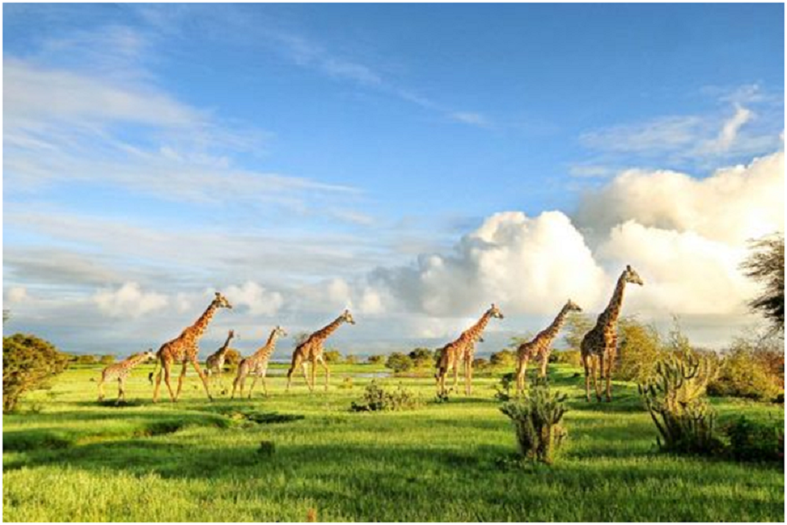 Uganda tours
